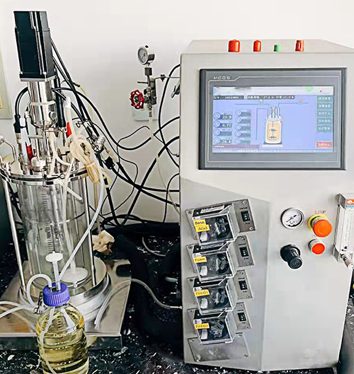 1744180850152862.jpg 1.jpg